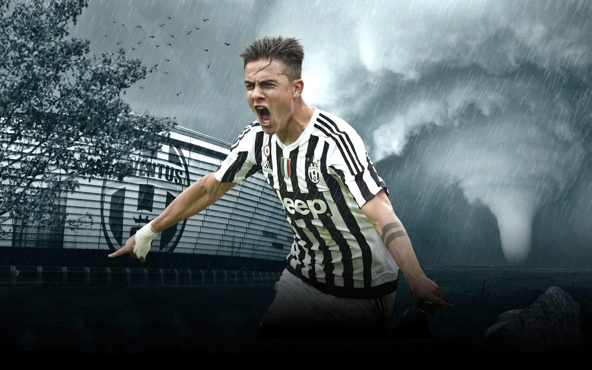 美记：塔图姆身边的人告诉我，他在努力争取本赛季复出